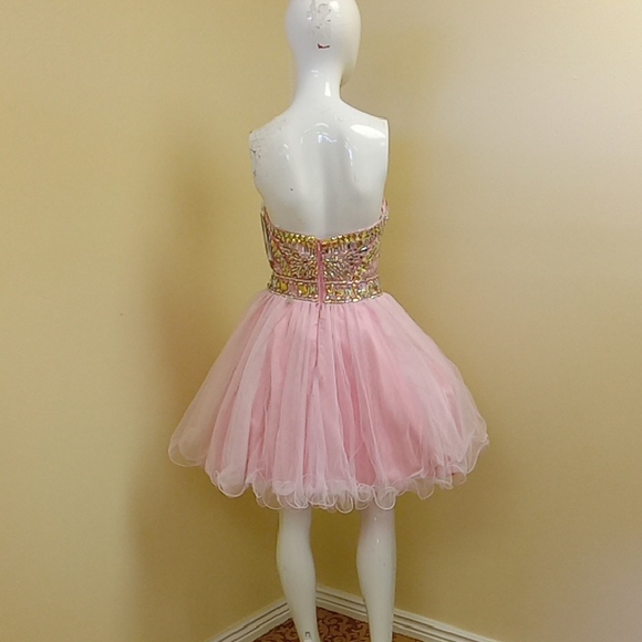 Nwt Tony Bowls Pink and Gold Embellished Dress - Picture 5 of 7